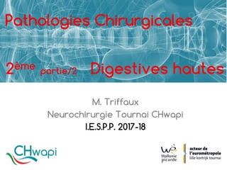 M. Triffaux
Neurochirurgie Tournai CHwapi
I.E.S.P.P. 2017-18
Pathologies Chirurgicales
2ème partie/2 Digestives hautes
 