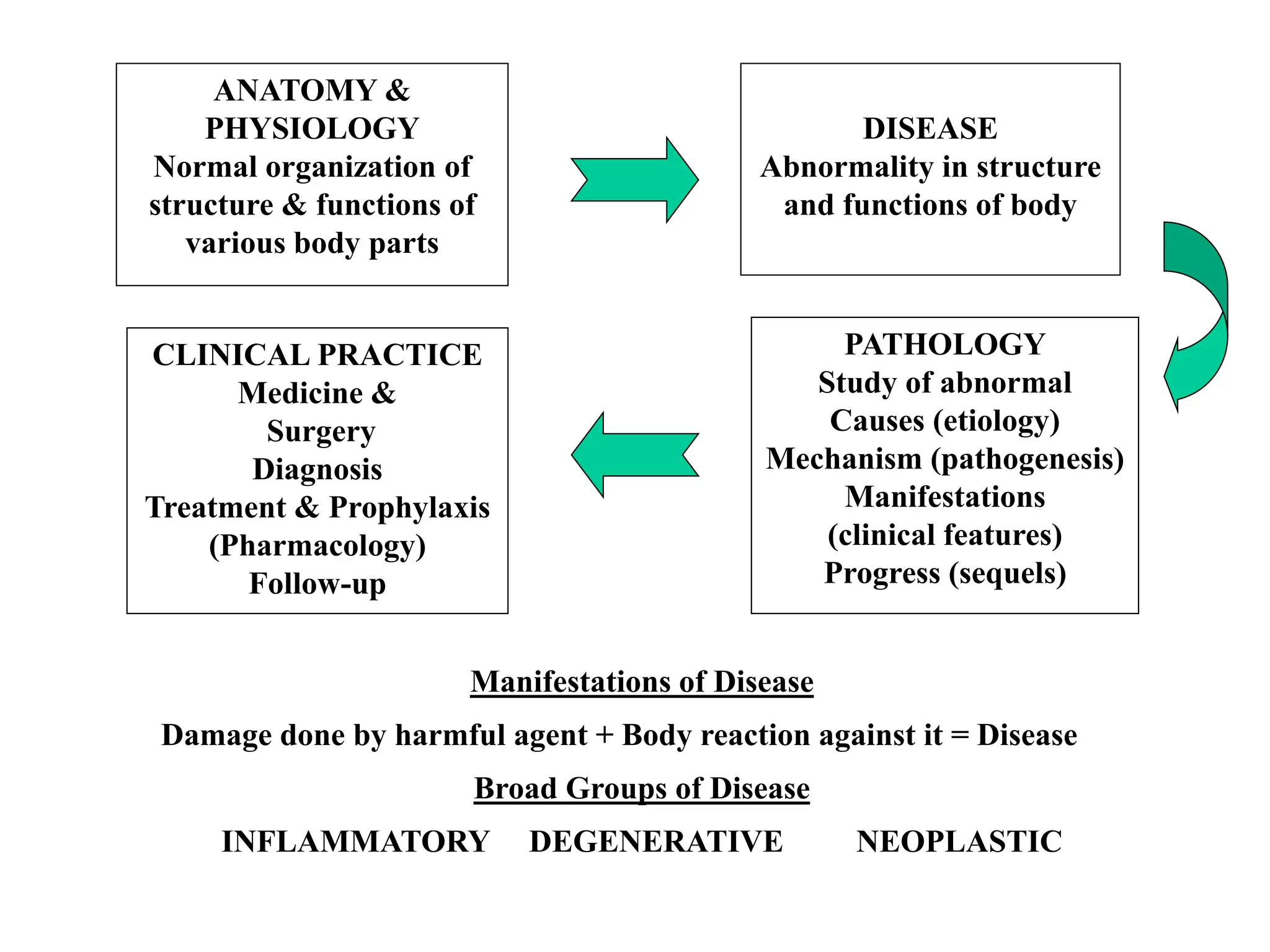 Dsign Pathophys Pathology diseases+ Adaptation ( LCPS).ppt
