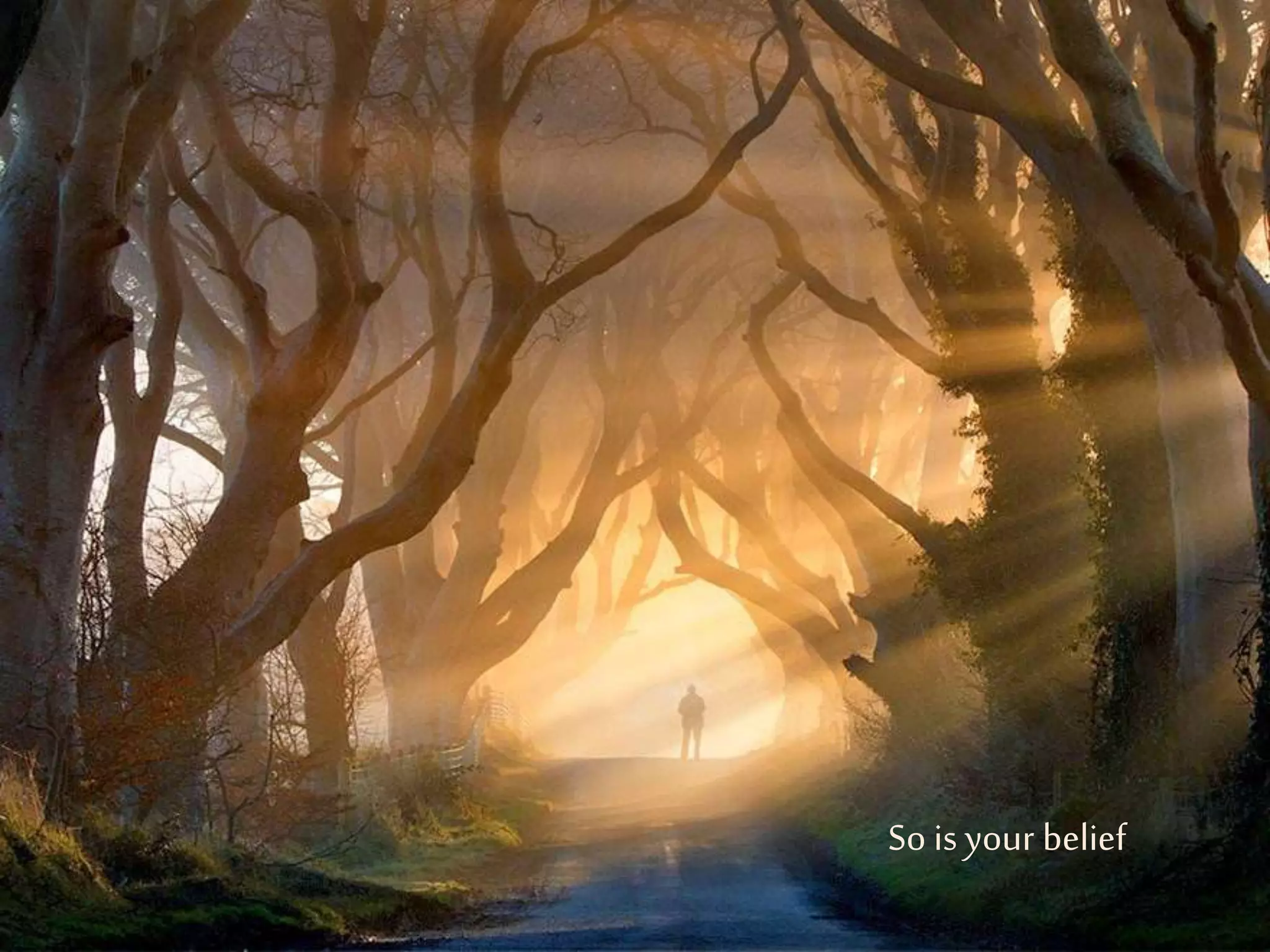 64 
So is your belief 
