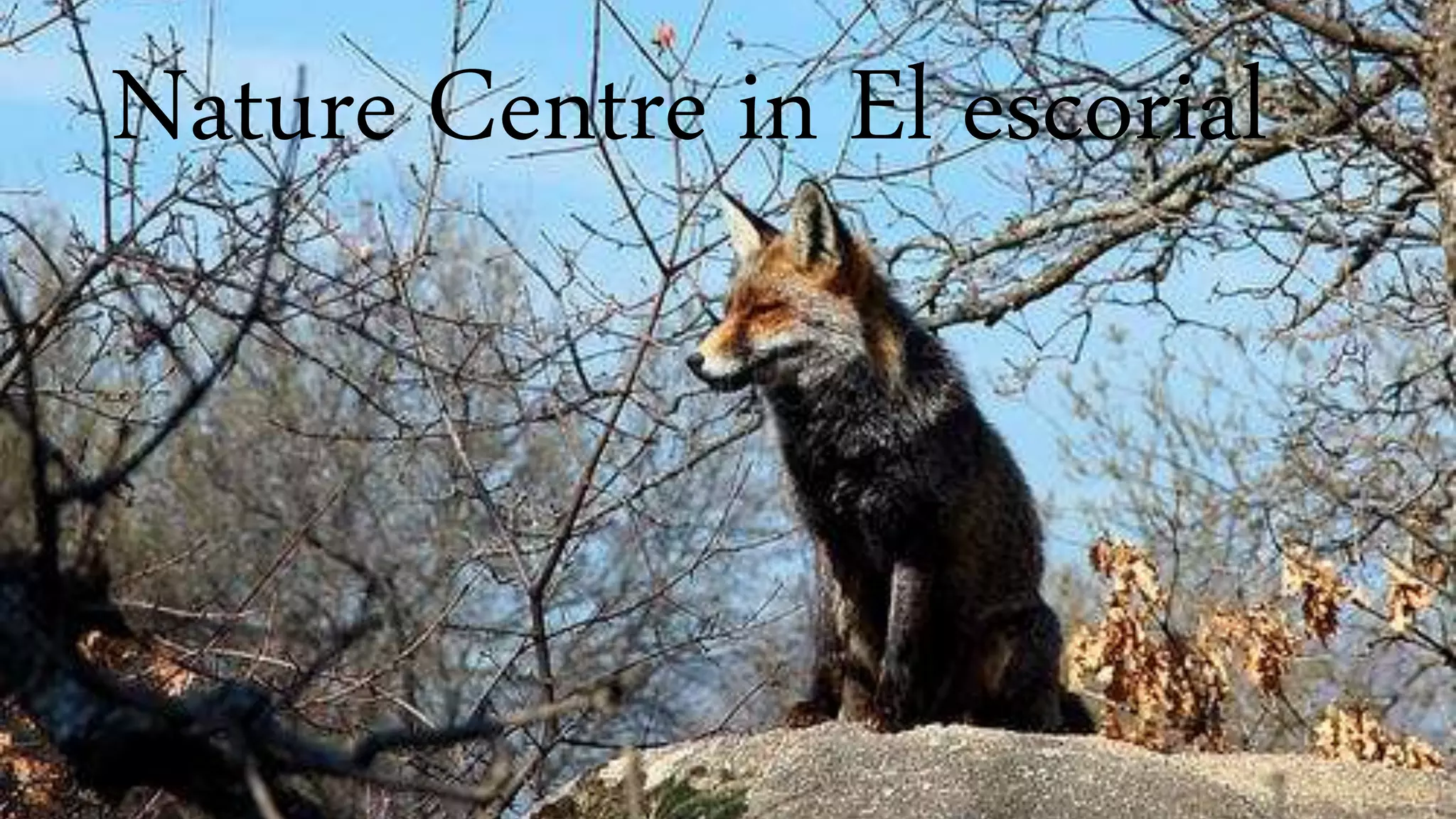 Nature Centre in El escorial
 