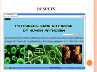 Pathogenic Gene Database of Human Pathogen | PPSX