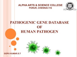 ALPHA ARTS & SCIENCE COLLEGE
                 PORUR, CHENNAI-116




    PATHOGENIC GENE DATABASE
               OF
        HUMAN PATHOGEN




GOPU KUMAR.S.T
 