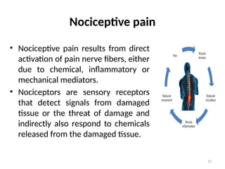 15
Nociceptive pain
• Nociceptive pain results from direct
activation of pain nerve fibers, either
due to chemical, inflammatory or
mechanical mediators.
• Nociceptors are sensory receptors
that detect signals from damaged
tissue or the threat of damage and
indirectly also respond to chemicals
released from the damaged tissue.
 