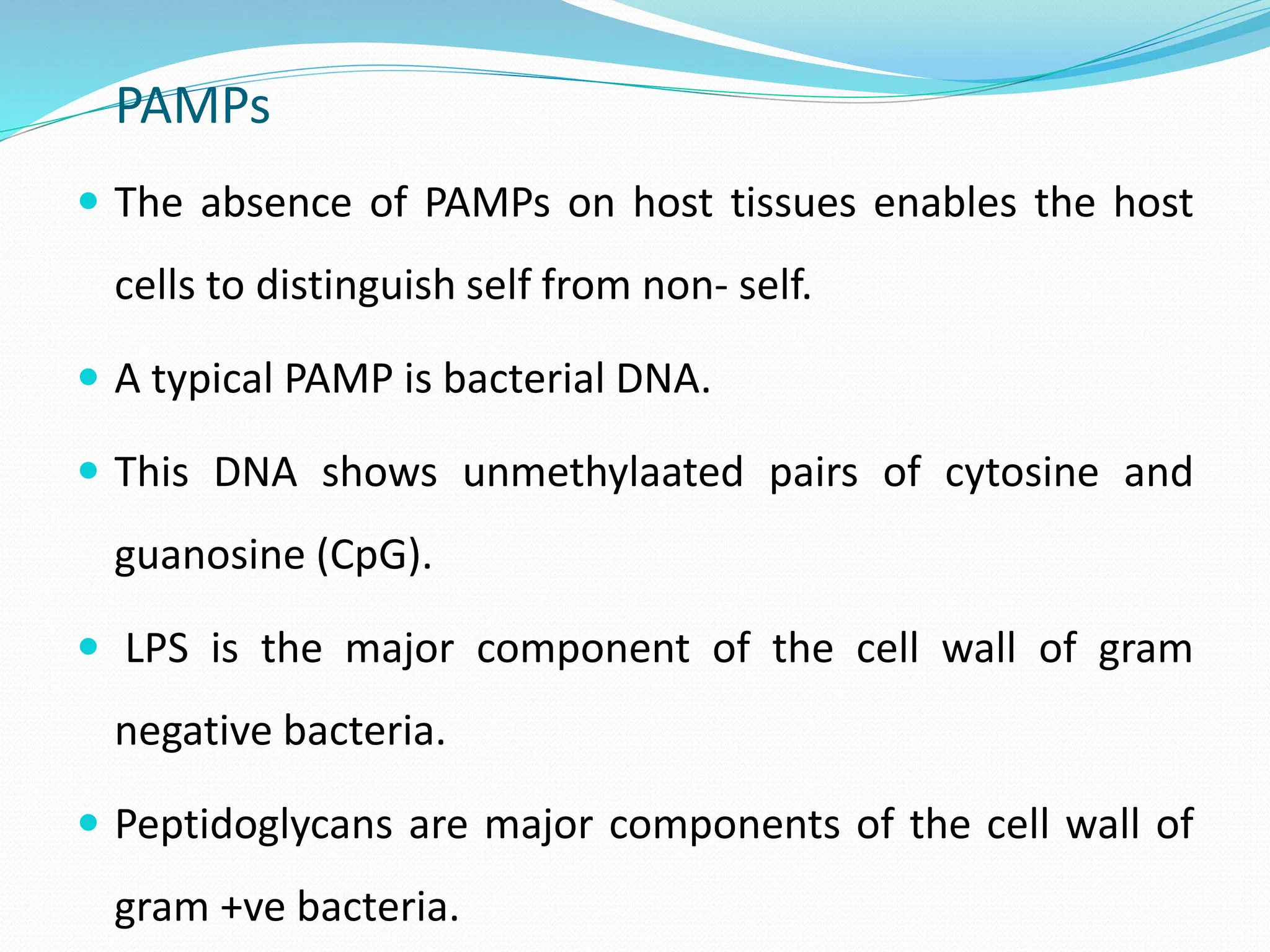 PATHOGEN ASSOCIATED MOLECULAR PATTERNS (PAMPs) - 2024 NOTES.pptx