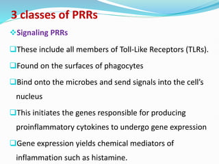 3 classes of PRRs
Signaling PRRs
These include all members of Toll-Like Receptors (TLRs).
Found on the surfaces of phagocytes
Bind onto the microbes and send signals into the cell’s
nucleus
This initiates the genes responsible for producing
proinflammatory cytokines to undergo gene expression
Gene expression yields chemical mediators of
inflammation such as histamine.
 