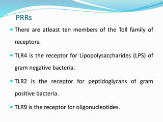 PRRs
 There are atleast ten members of the Toll family of
receptors.
 TLR4 is the receptor for Lipopolysaccharides (LPS) of
gram negative bacteria.
 TLR2 is the receptor for peptidoglycans of gram
positive bacteria.
 TLR9 is the receptor for oligonucleotides.
 