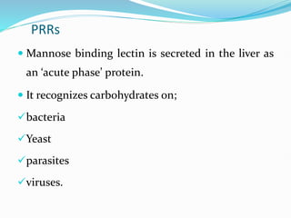 PRRs
 Mannose binding lectin is secreted in the liver as
an ‘acute phase’ protein.
 It recognizes carbohydrates on;
bacteria
Yeast
parasites
viruses.
 