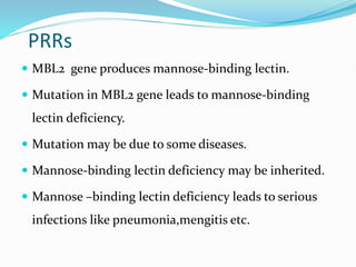 PRRs
 MBL2 gene produces mannose-binding lectin.
 Mutation in MBL2 gene leads to mannose-binding
lectin deficiency.
 Mutation may be due to some diseases.
 Mannose-binding lectin deficiency may be inherited.
 Mannose –binding lectin deficiency leads to serious
infections like pneumonia,mengitis etc.
 