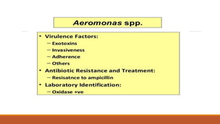 Pathogenecity and virulence factor of aeromonas spp | PPTX