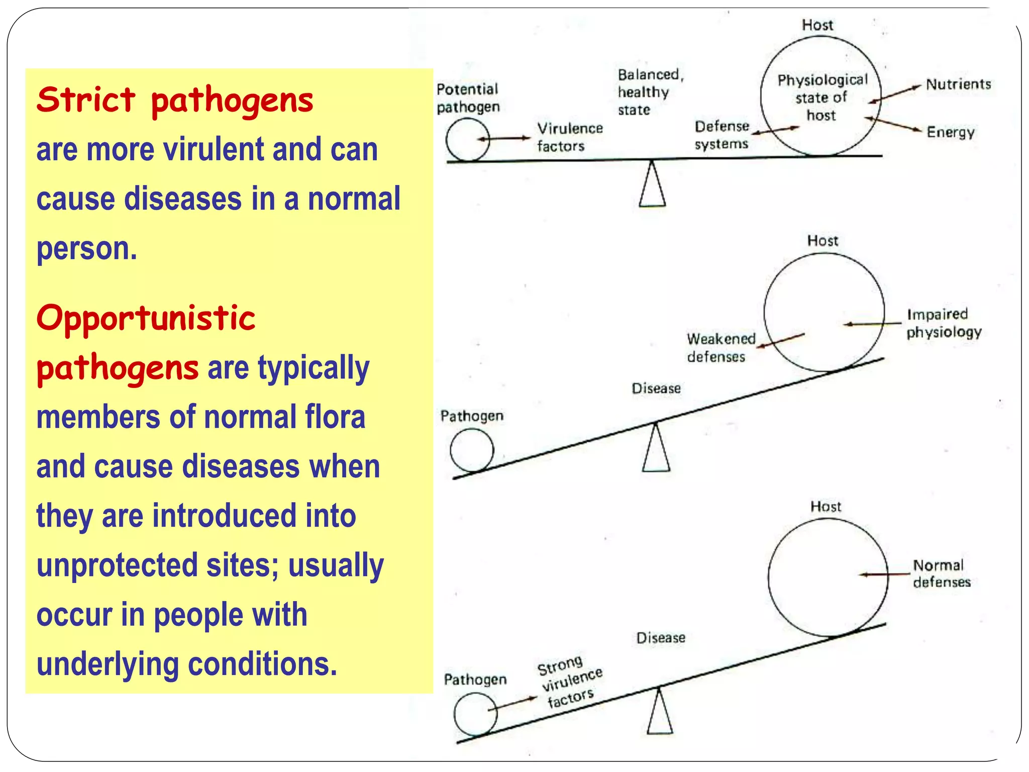 Pathogenesis | PPTX