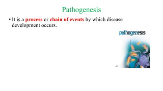 Pathogenesis
• It is a process or chain of events by which disease
development occurs.
 