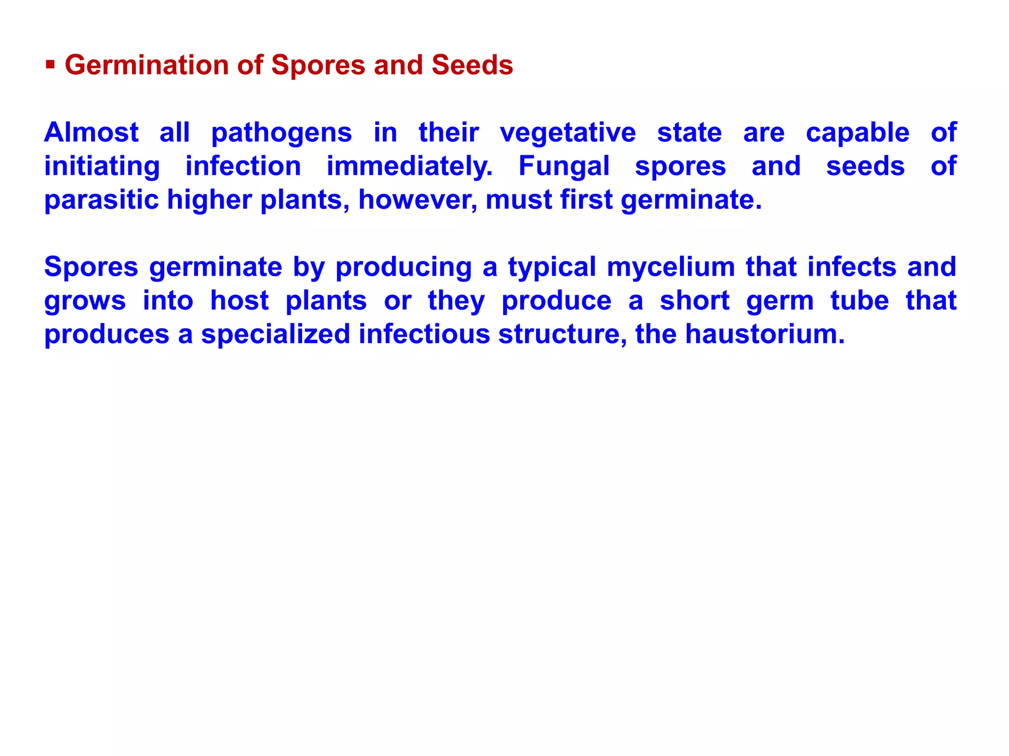  Germination of Spores and Seeds
Almost all pathogens in their vegetative state are capable of
initiating infection immediately. Fungal spores and seeds of
parasitic higher plants, however, must first germinate.
Spores germinate by producing a typical mycelium that infects and
grows into host plants or they produce a short germ tube that
produces a specialized infectious structure, the haustorium.
 