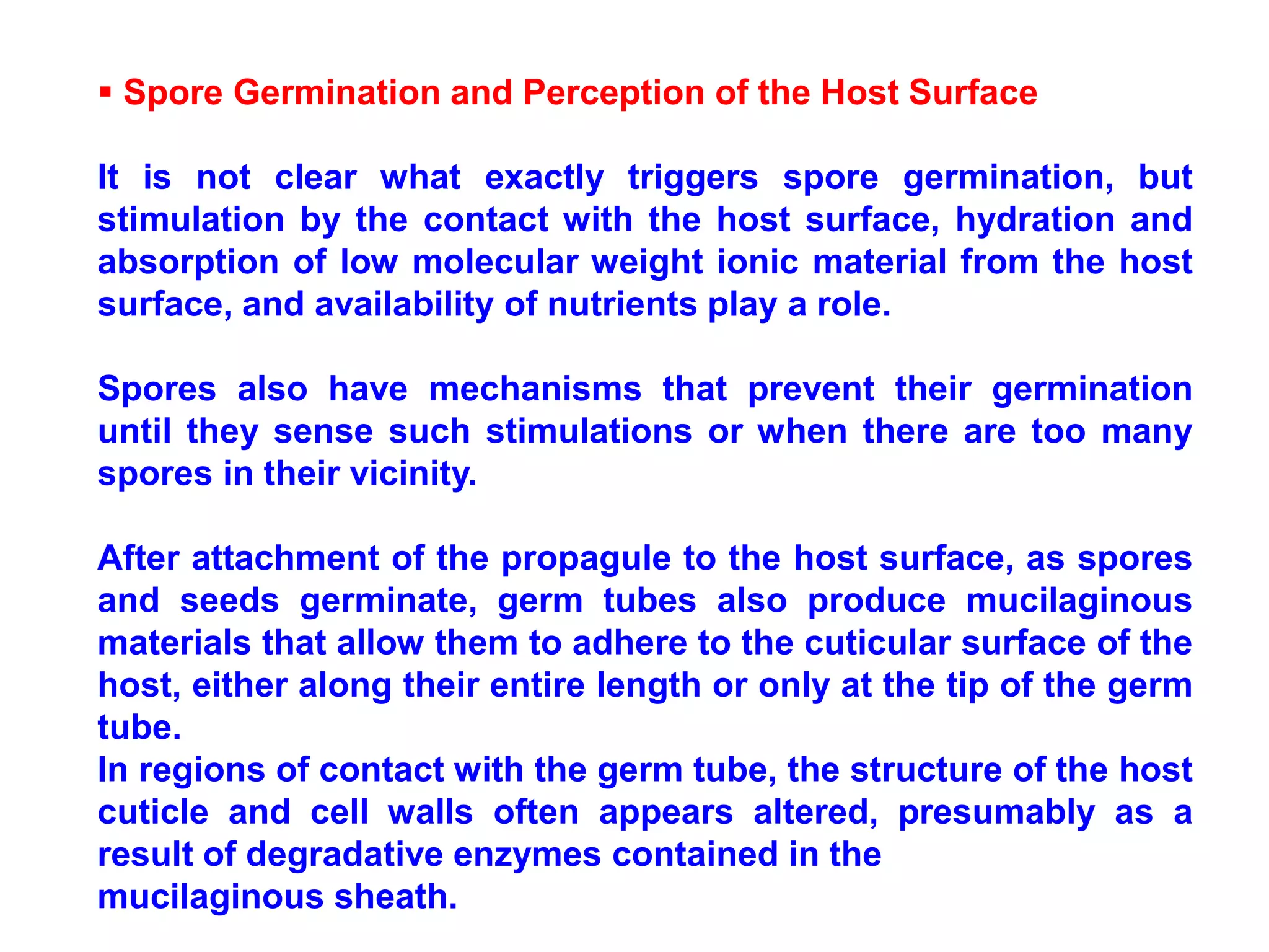  Spore Germination and Perception of the Host Surface
It is not clear what exactly triggers spore germination, but
stimulation by the contact with the host surface, hydration and
absorption of low molecular weight ionic material from the host
surface, and availability of nutrients play a role.
Spores also have mechanisms that prevent their germination
until they sense such stimulations or when there are too many
spores in their vicinity.
After attachment of the propagule to the host surface, as spores
and seeds germinate, germ tubes also produce mucilaginous
materials that allow them to adhere to the cuticular surface of the
host, either along their entire length or only at the tip of the germ
tube.
In regions of contact with the germ tube, the structure of the host
cuticle and cell walls often appears altered, presumably as a
result of degradative enzymes contained in the
mucilaginous sheath.
 
