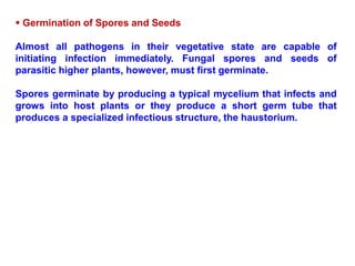  Germination of Spores and Seeds
Almost all pathogens in their vegetative state are capable of
initiating infection immediately. Fungal spores and seeds of
parasitic higher plants, however, must first germinate.
Spores germinate by producing a typical mycelium that infects and
grows into host plants or they produce a short germ tube that
produces a specialized infectious structure, the haustorium.
 