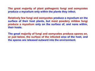 The great majority of plant pathogenic fungi and oomycetes
produce a mycelium only within the plants they infect.
Relatively few fungi and oomycetes produce a mycelium on the
surface of their host plants, but most powdery mildew fungi
produce a mycelium only on the surface of, and none within,
their hosts.
The great majority of fungi and oomycetes produce spores on,
or just below, the surface of the infected area of the host, and
the spores are released outward into the environment.
 
