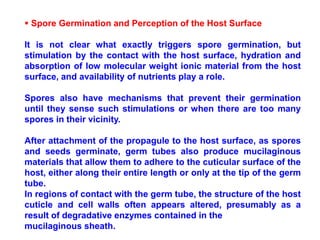  Spore Germination and Perception of the Host Surface
It is not clear what exactly triggers spore germination, but
stimulation by the contact with the host surface, hydration and
absorption of low molecular weight ionic material from the host
surface, and availability of nutrients play a role.
Spores also have mechanisms that prevent their germination
until they sense such stimulations or when there are too many
spores in their vicinity.
After attachment of the propagule to the host surface, as spores
and seeds germinate, germ tubes also produce mucilaginous
materials that allow them to adhere to the cuticular surface of the
host, either along their entire length or only at the tip of the germ
tube.
In regions of contact with the germ tube, the structure of the host
cuticle and cell walls often appears altered, presumably as a
result of degradative enzymes contained in the
mucilaginous sheath.
 