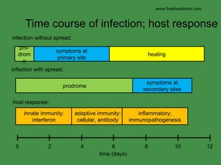 Time course of infection; host response infection without spread: infection with spread: host response: www.freelivedoctor.com prodrome symptoms at secondary sites pro-drome symptoms at primary site healing innate immunity: interferon adaptive immunity: cellular, antibody inflammatory; immunopathogenesis 0 2 4 6 8 10 12 time (days) 