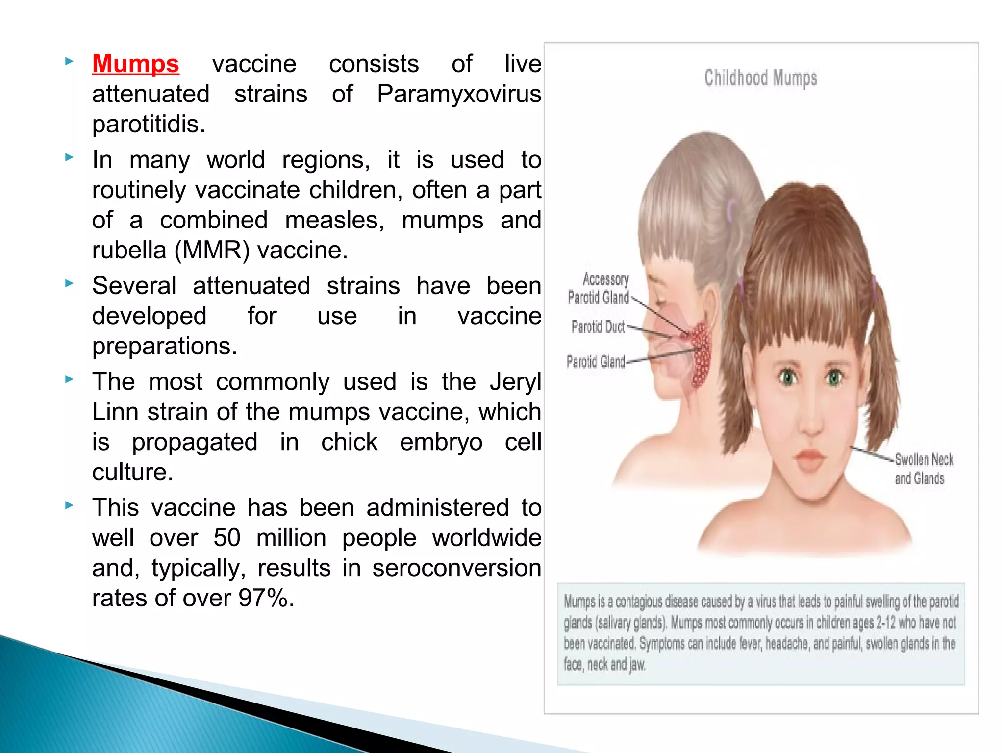  Mumps vaccine consists of live
attenuated strains of Paramyxovirus
parotitidis.
 In many world regions, it is used to
routinely vaccinate children, often a part
of a combined measles, mumps and
rubella (MMR) vaccine.
 Several attenuated strains have been
developed for use in vaccine
preparations.
 The most commonly used is the Jeryl
Linn strain of the mumps vaccine, which
is propagated in chick embryo cell
culture.
 This vaccine has been administered to
well over 50 million people worldwide
and, typically, results in seroconversion
rates of over 97%.
 