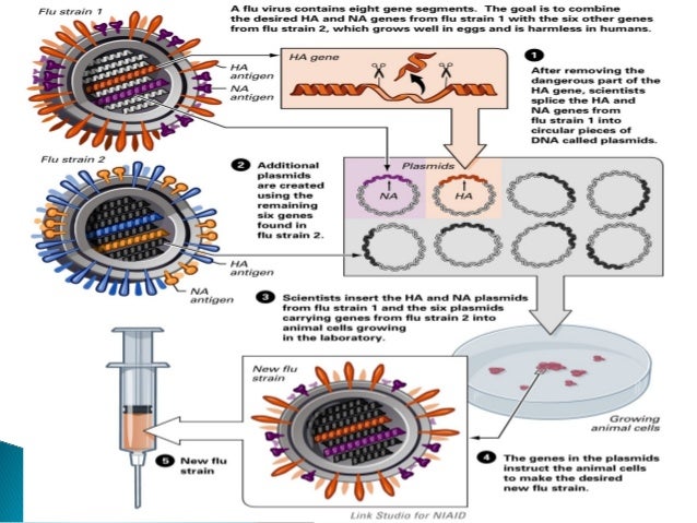 Vaccine Technology