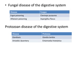 • Fungal disease of the digestive system
Protozoan disease of the digestive system
Disease Fungus
Ergot poisoning Claviceps purpurea
Aflatoxin poisoning Aspergillus flavus
Disease Protozoa
Giardiasis Giardia lambia
Amoebic dysentery Entamoeba histolytica
 
