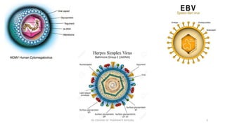Pathogenesis and management of viral hepatitis | PPTX