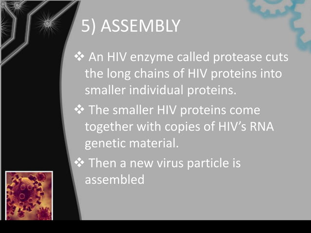 Pathogenesis Hiv Slide | PPTX | Biological Sciences | Science