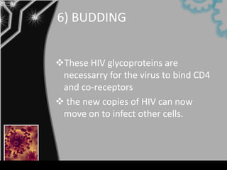 6) BUDDING


These HIV glycoproteins are
 necessarry for the virus to bind CD4
 and co-receptors
 the new copies of HIV can now
 move on to infect other cells.
 