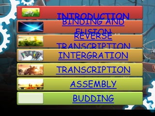 INTRODUCTION
 BINDING AND
   FUSION
   REVERSE
TRANSCRIPTION
INTERGRATION
TRANSCRIPTION
  ASSEMBLY
  BUDDING
 