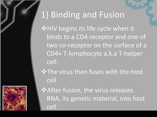 Pathogenesis Hiv Slide | PPTX | Biological Sciences | Science