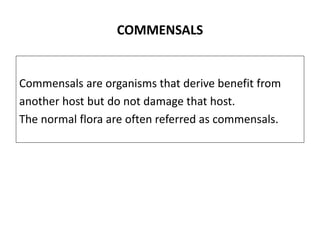 COMMENSALS
Commensals are organisms that derive benefit from
another host but do not damage that host.
The normal flora are often referred as commensals.
 
