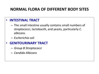 • INTESTINAL TRACT
– The small intestine usually contains small numbers of
streptococci, lactobacilli, and yeasts, particularly C.
albicans.
– Escherichia coli
• GENITOURINARY TRACT
– Group B Streptococci
– Candida Albicans
NORMAL FLORA OF DIFFERENT BODY SITES
 