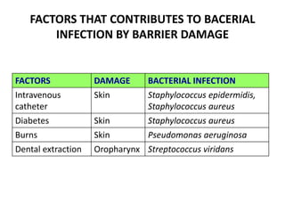 FACTORS THAT CONTRIBUTES TO BACERIAL
INFECTION BY BARRIER DAMAGE
FACTORS DAMAGE BACTERIAL INFECTION
Intravenous
catheter
Skin Staphylococcus epidermidis,
Staphylococcus aureus
Diabetes Skin Staphylococcus aureus
Burns Skin Pseudomonas aeruginosa
Dental extraction Oropharynx Streptococcus viridans
 