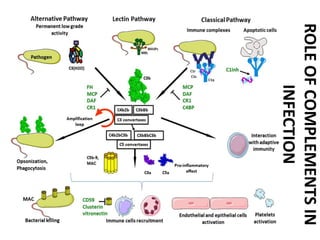 ROLEOFCOMPLEMENTSIN
INFECTION
 