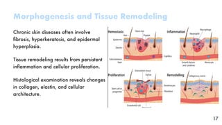 Pathogenesis & Morphogenesis Of Skin Diseases.pdf.pdf