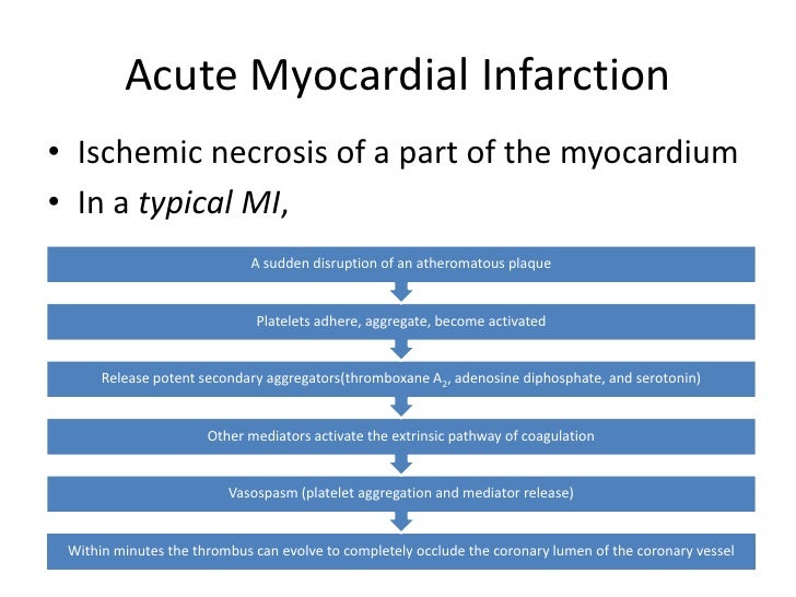 pathophysiology of myocardial infarction essay View and download myocardial infarction essays examples also discover topics, titles, outlines, thesis statements, and conclusions for your myocardial infarction essay. pathophysiology of myocardial infarction essay View and download myocardial infarction essays examples also discover topics, titles, outlines, thesis statements, and conclusions for your myocardial infarction essay.