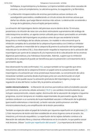10/7/23, 09:43 Pathogenesis of acute pancreatitis - UpToDate
https://www.uptodate.com/contents/pathogenesis-of-acute-pancreatitis/print?search=pancreatitis aguda tratamiento&source=search_result&sele… 5/13
La activación del tripsinógeno dentro del páncreas ocurre dentro de los 10 minutos
posteriores a la infusión de ratas con una dosis estimulante supramáxima del análogo de
colecistoquinina ceruleína, un agente común utilizado para inducir pancreatitis en animales
[17 ] . La activación del tripsinógeno se produce antes de que sea evidente la lesión
bioquímica o morfológica de las células acinares. Un modelo in vitro encontró que la
inhibición completa de la actividad de la catepsina B pancreática con E-64d (un inhibidor
específico, potente e irreversible de la catepsina B) previno la activación del tripsinógeno
inducida por la ceruleína [18] .]. Esta observación respalda la importancia de la activación del
tripsinógeno por parte de la catepsina B y la importancia de la colocalización de las enzimas
digestivas pancreáticas y las hidrolasas lisosomales. Además, sugiere que la inhibición
completa de la catepsina B puede ser beneficiosa para la prevención o el tratamiento de la
pancreatitis aguda.
Esta observación ha sido confirmada [ 16 ], aunque también se ha sugerido que otros
mecanismos además de la catepsina B tienen un papel como la autoactivación del
tripsinógeno o la activación por otras proteinasas lisosomales. La concentración de calcio
intracelular también aumenta desde el principio junto con una disminución en el pH
intracelular. Esto puede causar la activación prematura del tripsinógeno y luego una
regulación al alza del factor nuclear kB y la proteína activadora-1.
Lesión microcirculatoria : la liberación de enzimas pancreáticas daña el endotelio vascular
y el intersticio, así como las células acinares [ 19-21 ]. Los cambios microcirculatorios, que
incluyen vasoconstricción, estasis capilar, disminución de la saturación de oxígeno e isquemia
progresiva, ocurren temprano en modelos experimentales de pancreatitis aguda. Estos
cambios conducen a un aumento de la permeabilidad vascular e inflamación de la glándula
(pancreatitis edematosa o intersticial). La lesión vascular podría provocar una falla
microcirculatoria local y una amplificación de la lesión pancreática.
También se especula sobre el papel de la lesión por isquemia-reperfusión en el páncreas [ 21
]. Este mecanismo de lesión está bien establecido en otros órganos como el corazón, los
intestinos y el músculo esquelético. La reperfusión de los tejidos dañados conduce a la
liberación de radicales libres y citocinas inflamatorias en la circulación, lo que podría causar
más lesiones. (Véase "Lesión por reperfusión del corazón" .) La importancia de la lesión
fosfolipasa, la quimotripsina y la elastasa. La tripsina también activa otras cascadas de
enzimas, como el complemento, la calicreína-quinina, la coagulación y la fibrinólisis.
La liberación intrapancreática de enzimas pancreáticas activas conduce a la
autodigestión pancreática, estableciendo un círculo vicioso de enzimas activas que
dañan las células, que luego liberan enzimas más activas. La destrucción se extiende a
lo largo de la glándula y hacia el tejido peripancreático.
●
 