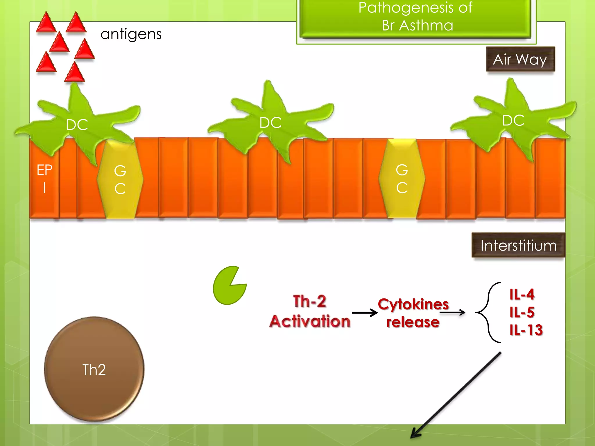 Pathogenesis of asthma and omalizumab action | PPTX