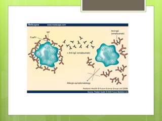 Pathogenesis of asthma and omalizumab action | PPTX