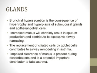Pathogenesis of asthma | PPTX