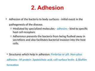 Adhesion Examples Infection PATHOGENESIS OF BACT DISEASES AND NORMAL FLORA.pptx