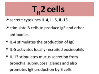 TH2cells
secrete cytokines IL-4, IL-5, IL-13
stimulate B cells to produce IgE and other
antibodies.
 IL-4 stimulates the production of IgE
 IL-5 activates locally recruited eosinophils
 IL-13 stimulates mucus secretion from
bronchial submucosal glands and also
promotes IgE production by B cells
 