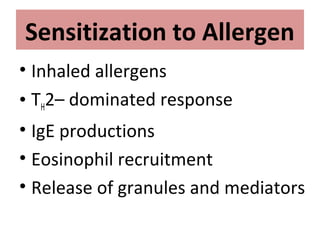 Sensitization to Allergen
• Inhaled allergens
• TH2– dominated response
• IgE productions
• Eosinophil recruitment
• Release of granules and mediators
 