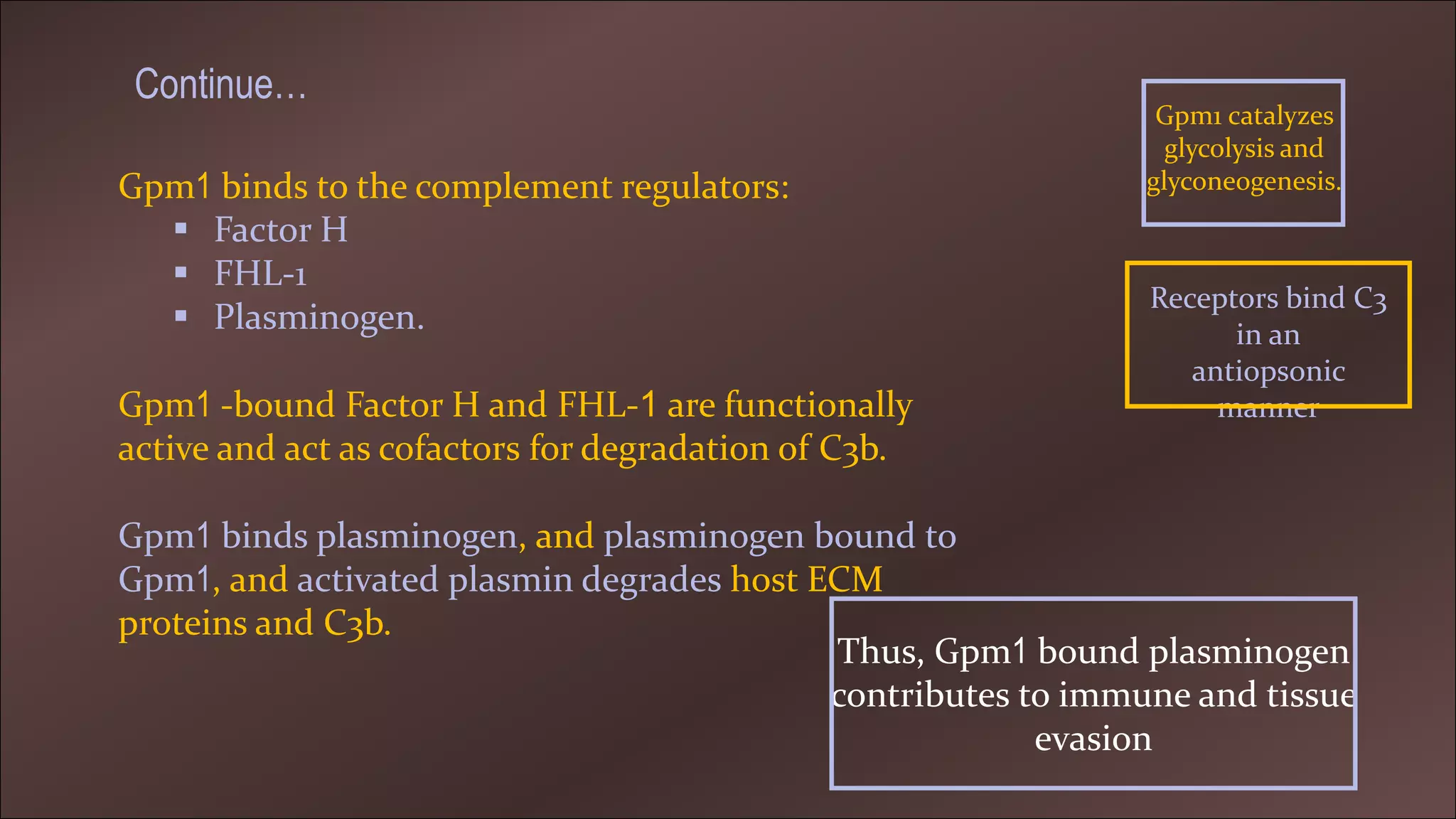 Pathogenesis Of Candida Ppt Pathogenesis Of Candida Ppt