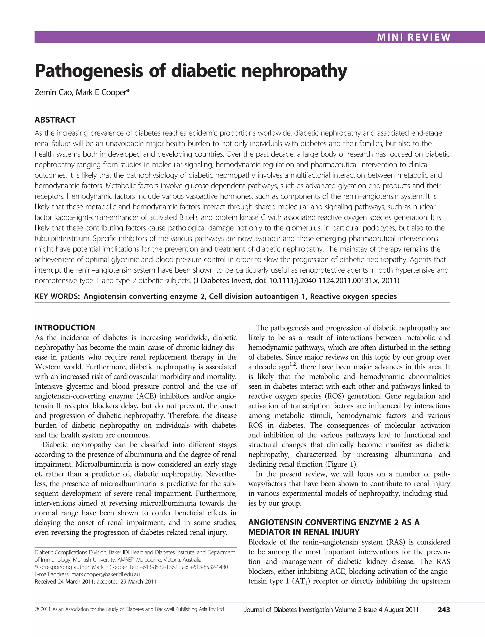 Pathogenesis of diabetic nephropathy | PDF