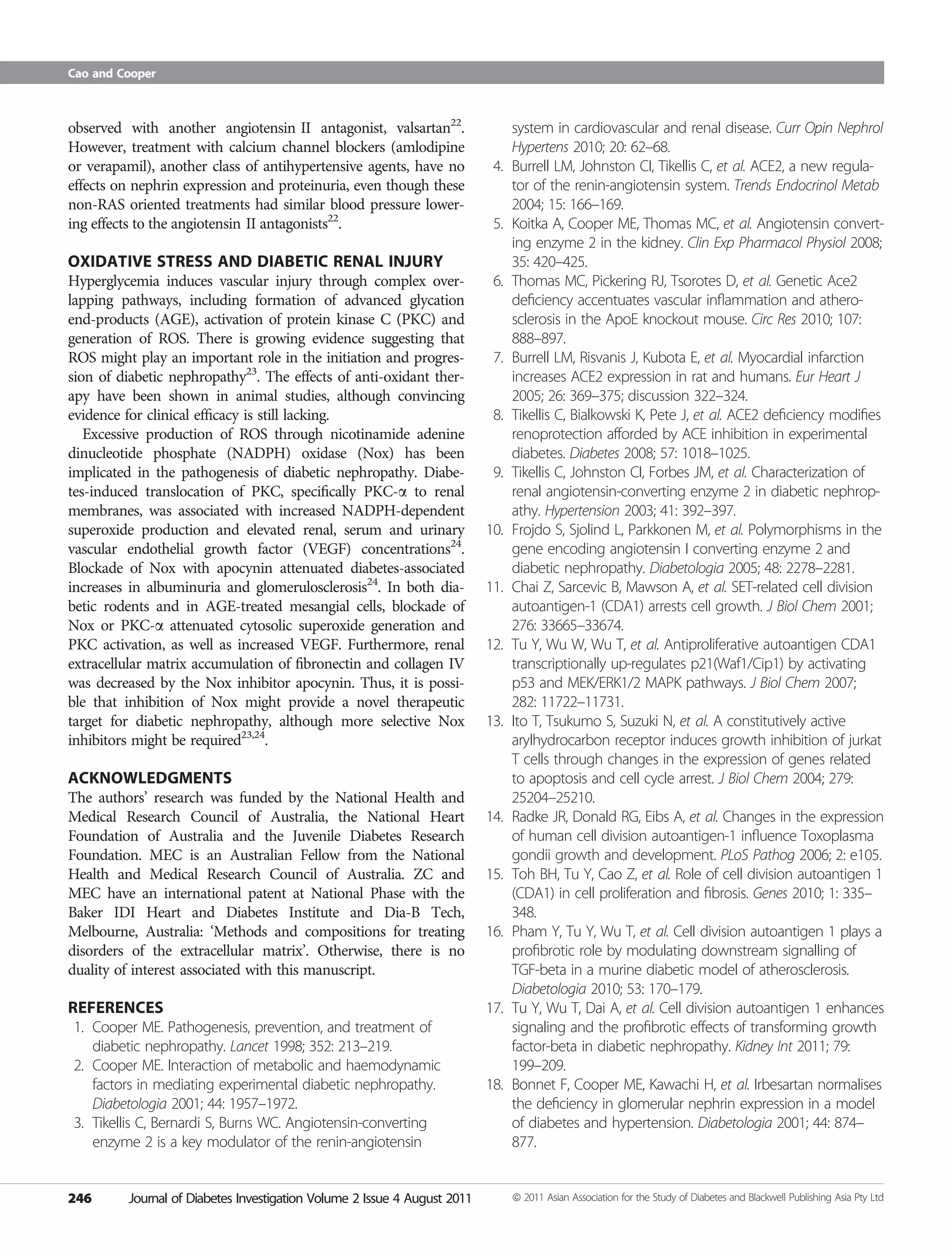 Pathogenesis of diabetic nephropathy | PDF