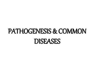 PATHOGENESIS & COMMON
DISEASES
 