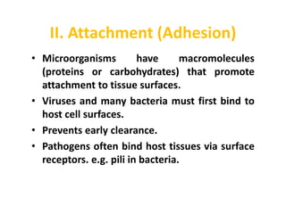 Adhesion Examples Infection pathogenesis of disease common diseases and its progress | PPTX