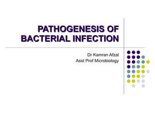 PATHOGENESIS OF BACTERIAL INFECTION Dr Kamran Afzal Asst Prof Microbiology 