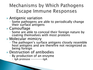 Pathogenesis of infectious_disease | PPTX