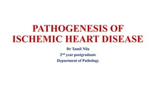 PATHOGENESIS OF
ISCHEMIC HEART DISEASE
Dr Tamil Nila
2nd year postgraduate
Department of Pathology
 